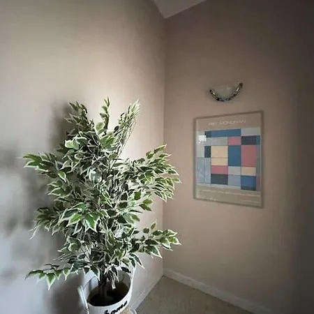Apartment La Casa Dei Girasoli